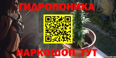 дурь Пыть-Ях