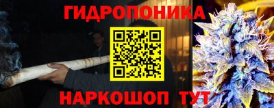 кокаин колумбия Пугачёв