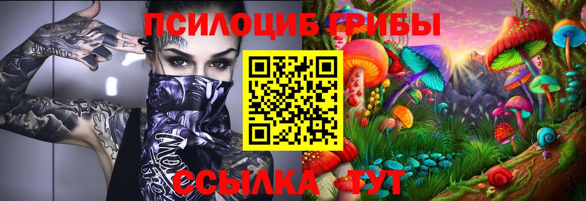 где купить   Вход с VPN  Псилоцибиновые грибы Psilocybe  Рославль  Галлюциногенные грибы Psilocybe 